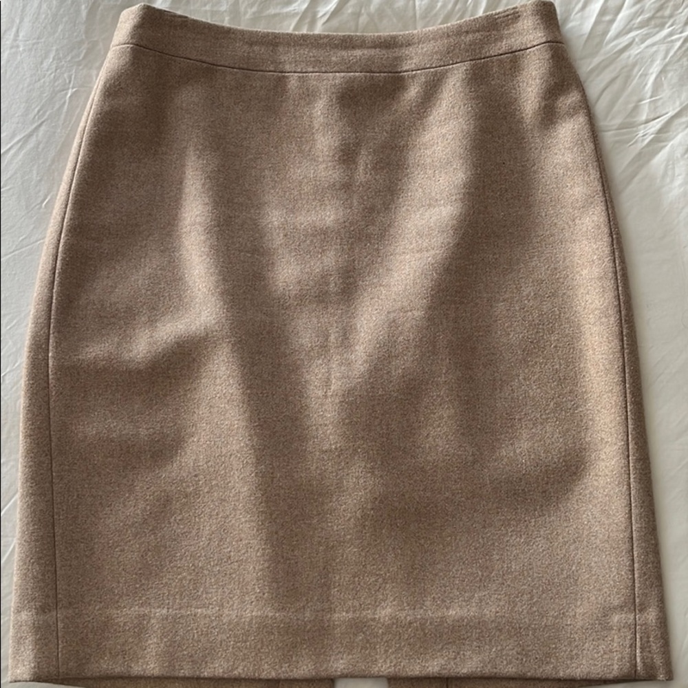 JCrew skirt